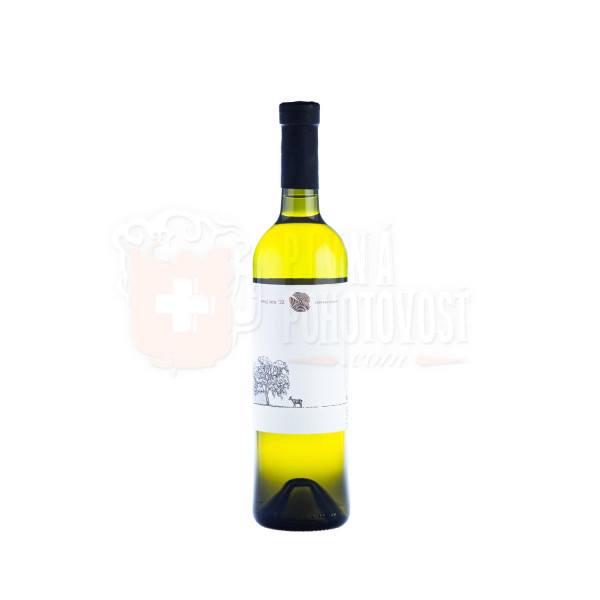 Chateau Rúbaň svoj sen ´22 13% 0,75l